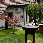 Počitniška hiša Near Ljubljana - Hawknest *
