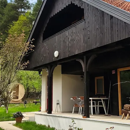 Holiday home Near Ljubljana - Hawknest *