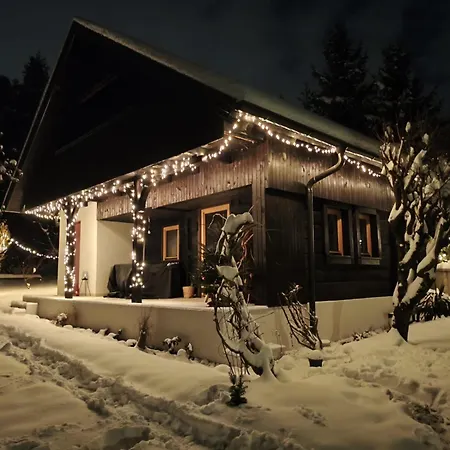 Holiday home Near Ljubljana - Hawknest