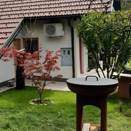 Holiday home Near Ljubljana - Hawknest *