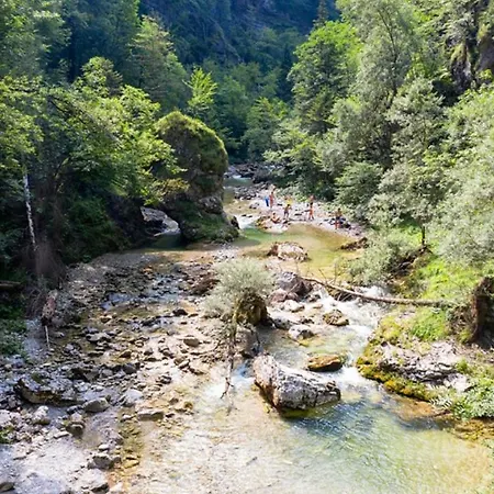 Near Ljubljana - Hawknest *