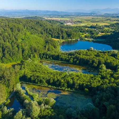Near Ljubljana - Hawknest * Dobravica