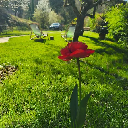 Near Ljubljana - Hawknest Holiday home *
