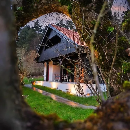 Holiday home Near Ljubljana - Hawknest *