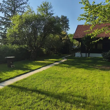 Počitniška hiša Near Ljubljana - Hawknest *