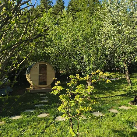 Near Ljubljana - Hawknest Dobravica