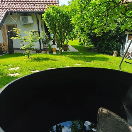 Holiday home Near Ljubljana - Hawknest *