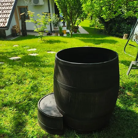 Holiday home Near Ljubljana - Hawknest
